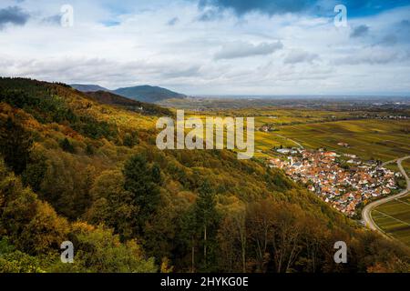 Forêt et vignobles d'automne, Burrweiler, près de Landau, Palatinat, Forêt du Palatinat, Rhénanie-Palatinat, Allemagne Banque D'Images