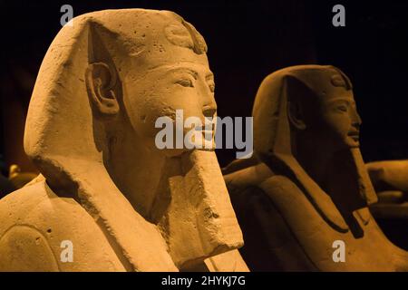 Turin, Italie - 14 août 2021 : Sphinx au Musée égyptien de Turin, Italie. Banque D'Images