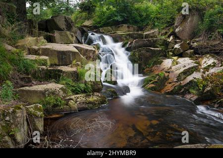 Upper Ilse Falls, cascades de l'Ilse, vallée de l'Ilse dans le parc national du Harz, Saxe-Anhalt, Allemagne Banque D'Images