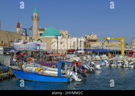 Port de plaisance et de pêche, Akko, Israël Banque D'Images