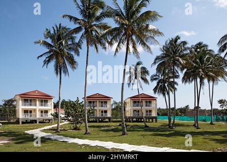 Bunglows avec quatre chambres sur pilotis, hôtel, simple, palmiers, complexe de bungalows, Maria la Gorda, province de Pinar del Rio, Cuba, Caraïbes Banque D'Images