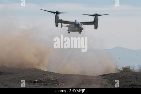 Gotemba, Japon. 15th mars 2022. Le V-22 Osprey de la Force d'autodéfense du Japon participe pour la première fois à un exercice militaire conjoint avec les Marines des États-Unis au Camp Fuji dans la préfecture de Shizuoka, au Japon, le mardi 15 mars 2022. Photo par Keizo Mori/UPI crédit: UPI/Alay Live News Banque D'Images