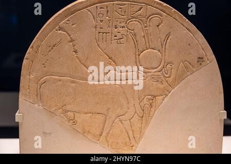 stela avec Hathor comme vache, calcaire, 18th dynastie, temple de Mentuhotep II, Deir el-Bahari, Thèbes, Égypte, collection du British Museum Banque D'Images