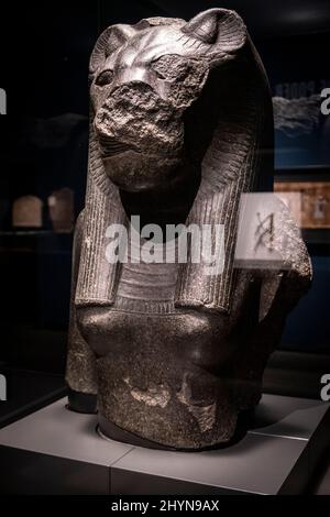 Fragment d'une statue de la déesse Sekhmet, granit noir, 18th dynastie régnant Amenhotep III, Temple de Mut, Karnak, Thèbes, Egypte, collection de t Banque D'Images