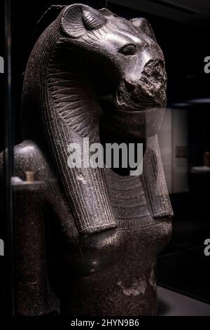 Fragment d'une statue de la déesse Sekhmet, granit noir, 18th dynastie régnant Amenhotep III, Temple de Mut, Karnak, Thèbes, Egypte, collection de t Banque D'Images