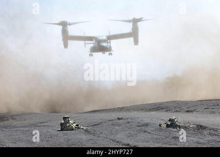 Gotemba, Japon. 15th mars 2022. Le MV-22 Osprey DE LA marine AMÉRICAINE s'approche de la zone d'exercice Higashi Fuji à Gotemba pour un exercice militaire conjoint Japon-États-Unis dans la préfecture de Shizuoka, à l'ouest de Tokyo, le mardi 15 mars 2022, tandis que les soldats de la Brigade amphibie du Déploment rapide visent à soutenir les fusils automatiques. La Brigade de déploiement rapide amphibie du Japon en 1st et l'unité expéditionnaire maritime des États-Unis en 31st ont ouvert leur exercice héliporté conjoint pour la presse. Credit: Yoshio Tsunoda/AFLO/Alay Live News Banque D'Images