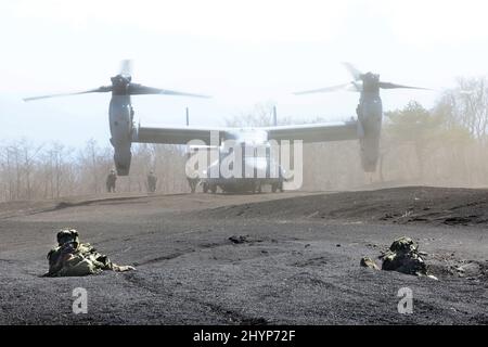 Gotemba, Japon. 15th mars 2022. Des soldats de la Marine AMÉRICAINE sortent d'un Osprey MV-22 lors d'un exercice militaire conjoint Japon-États-Unis dans la zone d'exercice Higashi Fuji à Gotemba, dans la préfecture de Shizuoka, à l'ouest de Tokyo, le mardi 15 mars 2022, tandis que les soldats de la Brigade amphibie de Doploment rapide visent des fusils automatiques pour les soutenir. La Brigade de déploiement rapide amphibie du Japon en 1st et l'unité expéditionnaire maritime des États-Unis en 31st ont ouvert leur exercice héliporté conjoint pour la presse. Credit: Yoshio Tsunoda/AFLO/Alay Live News Banque D'Images