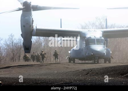 Gotemba, Japon. 15th mars 2022. Des soldats de la Marine AMÉRICAINE sortent d'un MV-22 Osprey lors d'un exercice militaire conjoint Japon-États-Unis dans la zone d'exercice Higashi Fuji à Gotemba, dans la préfecture de Shizuoka, à l'ouest de Tokyo, le mardi 15 mars 2022. La Brigade de déploiement rapide amphibie du Japon en 1st et l'unité expéditionnaire maritime des États-Unis en 31st ont ouvert leur exercice héliporté conjoint pour la presse. Credit: Yoshio Tsunoda/AFLO/Alay Live News Banque D'Images