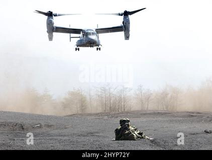 Gotemba, Japon. 15th mars 2022. LE MV-22 Osprey DE US Marine s'approche de la zone d'exercice Higashi Fuji à Gotemba pour un exercice militaire conjoint Japon-États-Unis dans la préfecture de Shizuoka, à l'ouest de Tokyo, le mardi 15 mars 2022, tandis que le soldat de la Brigade de déploiement rapide amphibie du Japon vise un fusil automatique à soutenir. La Brigade de déploiement rapide amphibie du Japon en 1st et l'unité expéditionnaire maritime des États-Unis en 31st ont ouvert leur exercice héliporté conjoint pour la presse. Credit: Yoshio Tsunoda/AFLO/Alay Live News Banque D'Images