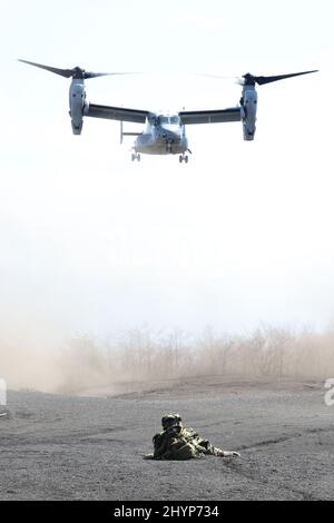 Gotemba, Japon. 15th mars 2022. LE MV-22 Osprey DE US Marine s'approche de la zone d'exercice Higashi Fuji à Gotemba pour un exercice militaire conjoint Japon-États-Unis dans la préfecture de Shizuoka, à l'ouest de Tokyo, le mardi 15 mars 2022, tandis qu'un soldat de la Brigade de déploiement rapide amphibie du Japon vise un fusil automatique à soutenir. La Brigade de déploiement rapide amphibie du Japon en 1st et l'unité expéditionnaire maritime des États-Unis en 31st ont ouvert leur exercice héliporté conjoint pour la presse. Credit: Yoshio Tsunoda/AFLO/Alay Live News Banque D'Images