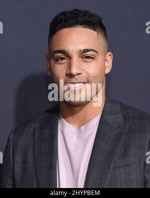 Michael Evans Behling arrive à la première d'Universal Pictures de Los Angeles 'The invisible Man' tenue au TCL Chinese Theater IMAX le 24 février 2020 à Hollywood, Los Angeles, Californie, États-Unis. Banque D'Images