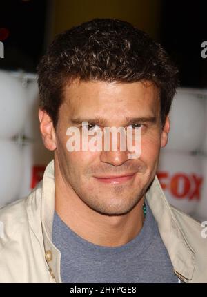 David Boreanaz participe à la FÊTE d'été Fox All-Star TCA 2005in Santa Monica. Photo : presse britannique Banque D'Images