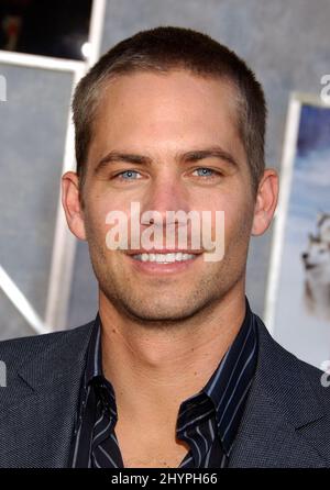 Paul Walker participe à la première mondiale « huit ci-dessous » au théâtre El Capitan, à Hollywood. Photo : presse britannique Banque D'Images