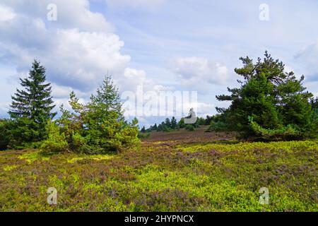 Zone de protection du paysage Neuer Hagen dans le Sauerland Banque D'Images