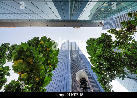 Gratte-ciel entourés d'arbres, vue vers le ciel. Concept d'entreprise et d'entreprise. Banque D'Images
