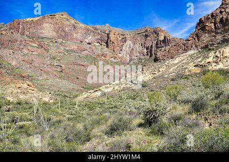 Impressionnant paysage de montagne le long de la montée jusqu'au pré Bull dans les montagnes Ajo, Organ Pipe Cactus National Monument, sud de l'Arizona, Etats-Unis Banque D'Images