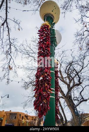 De longs rivestras au poivre rouge lacés de neige un matin d'hiver sur la place historique de Santa Fe, Nouveau-Mexique Banque D'Images