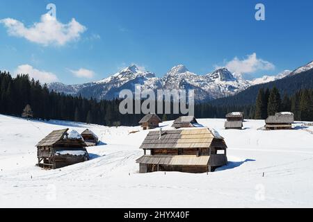 Zajavornik, pâturage de montagne Javornik en hiver sur Pokljuka, Slovénie. Des cabanes pittoresques avec une vue magnifique sur les Alpes juliennes en arrière-plan Banque D'Images