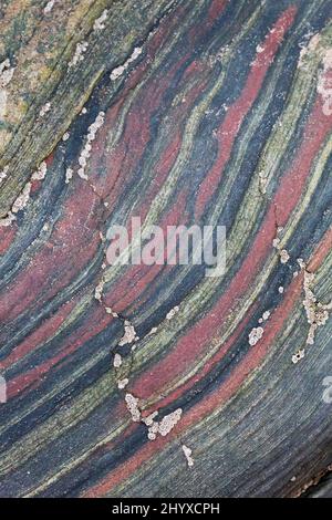 Photographie abstraite de roches colorées à motifs, montrant les détails de la géologie à Spittal Beach, Northumberland, dans le nord-est de l'Angleterre Banque D'Images