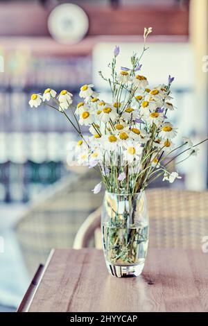 Bouquet de fleurs de Marguerite sauvage (Bellis perennis) dans un verre intérieur dans une maison. Banque D'Images