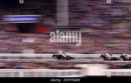 Le Brésil est crié par le jockey Mark Walsh sur le chemin de gagner l'obstacle Bootles Juvenile Handicap sur le premier jour du Cheltenham Festival à Cheltenham Racecourse. Date de la photo: Mardi 15 mars 2022. Banque D'Images