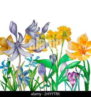 Fleurs de printemps violet aquarelle jaune composition sur fond blanc. Fleurs sauvages peintes à la main crocus, gouttes de neige, primula. bluebell, feuilles vertes Banque D'Images
