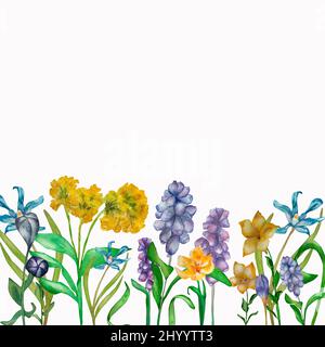 Fleurs de printemps violet aquarelle jaune composition sur fond blanc. Fleurs sauvages peintes à la main crocus, gouttes de neige, primula. bluebell, feuilles vertes Banque D'Images