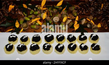 Caviar sur pomme de terre avec cocktails à la crème sure hors d'œuvre sur plateau décoré de cônes de pin et de pétales de tournesol. Banque D'Images