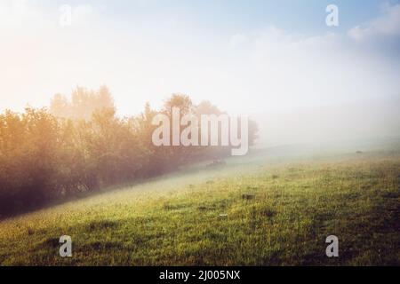 La campagne autour d'une ferme dans la lumière du matin. Magnifique journée et magnifique scène. Emplacement Placez Carpathian, l'Ukraine, l'Europe. Vacances parfaites Banque D'Images