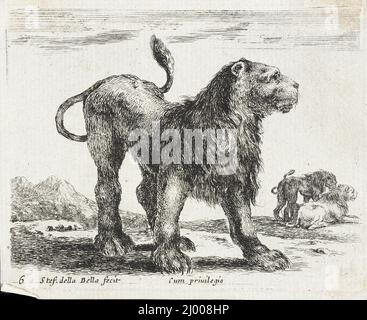 Un Lion. Stefano della Bella (Italie, Florence, 1610-1664). Italie, 1641. Tirages ; gravures. Gravure Banque D'Images
