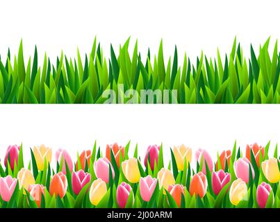 Ensemble de bordures sans couture avec de l'herbe verte fraîche et des fleurs Illustration de Vecteur