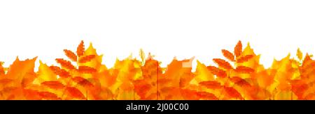 Bordure sans couture avec feuilles d'automne, illustration vectorielle Illustration de Vecteur