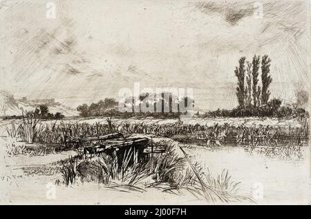 Une prairie aquatique. Sir Francis Seymour Haden (Angleterre, Londres, 1818-1910). Angleterre, 1859. Tirages ; gravures. Gravure Banque D'Images