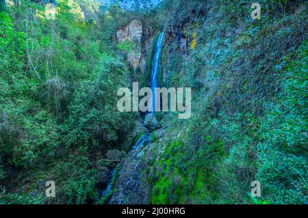 Piste de montagne entre d'énormes rochers à weald.Rill de montagne dans le morass avec des plantes tropicales et des herbes fraîches.Faune sauvage dans le bois sauvage exotique avec le bord de la rivière Banque D'Images