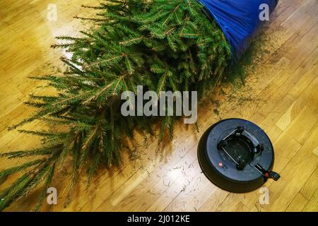 L'arbre de Noël est prêt à être mis au rebut après le nouvel an. Banque D'Images