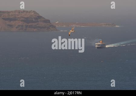 Santorini, Grèce - 10 mai 2021 - Un ferry qui s'approche du port d'Athinios à Santorin et des mouettes qui volent Banque D'Images