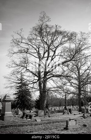 Cimetière historique d'Oak Grove à Fall River, Massachusetts Banque D'Images