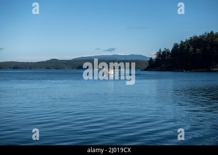 Friday Harbor, WA USA - vers novembre 2021 : vue d'un avion de mer qui débarque au port de l'île de San Juan par une journée ensoleillée et lumineuse à l'automne. Banque D'Images