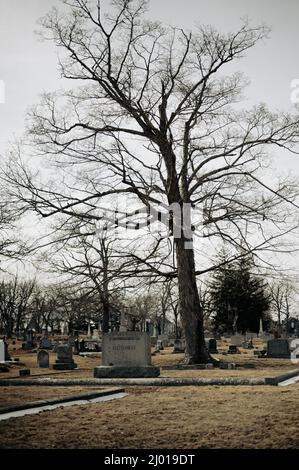 Cimetière historique d'Oak Grove à Fall River, Massachusetts Banque D'Images
