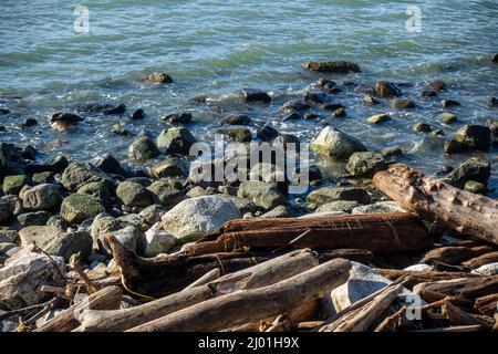 Côte rocheuse de False Bay dans l'île de San Juan, WA, se remplissant après marée basse par une journée ensoleillée Banque D'Images