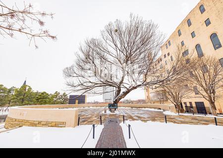 Vue imprenable sur un jardin enneigé avec Survival Tree of Oklahoma City National Memorial et le musée de l'Oklahoma Banque D'Images