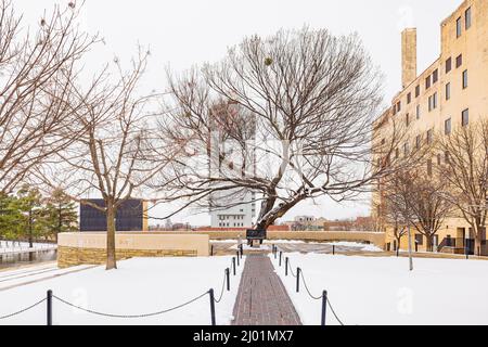 Vue imprenable sur un jardin enneigé avec Survival Tree of Oklahoma City National Memorial et le musée de l'Oklahoma Banque D'Images