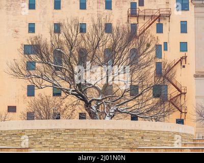 Vue imprenable sur un jardin enneigé avec Survival Tree of Oklahoma City National Memorial et le musée de l'Oklahoma Banque D'Images