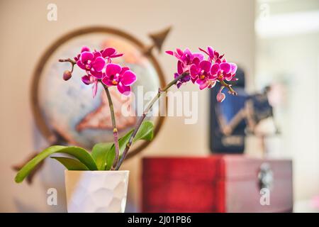 Encore la vie de fleurs d'orchidées roses dans la maison avec globe et appareil photo Banque D'Images