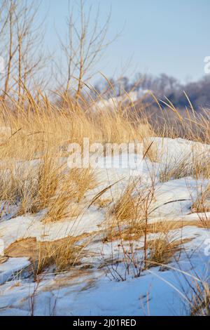 Herbes et dunes de sable au Michigan couvertes de neige en hiver Banque D'Images