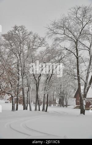 Route enneigée avec arbres en hiver Banque D'Images