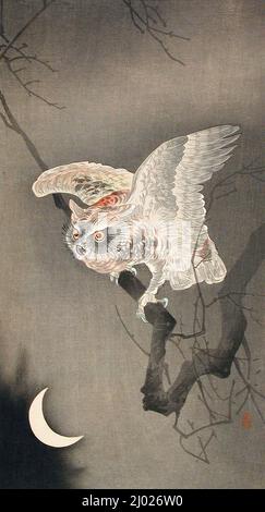 Scops Owl en clair de lune. Ohara Shōson (Japon, 1877-1945). Japon, début 1920s. Imprimés; blocs de bois. Imprimé color block Banque D'Images