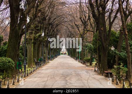 Allée vide dans le parc Cismigiu à Bucarest, capitale de la Roumanie Banque D'Images