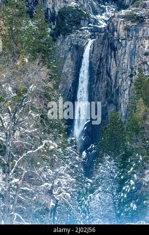 Une photo au téléobjectif du yosemite tombe un après-midi d'hiver avec des arbres enneigés au premier plan. Banque D'Images