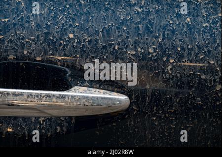 Stuttgart, Allemagne. 16th mars 2022. Une voiture est couverte de poussière rougeâtre dans le centre-ville. Les vents du sud-ouest nous ont fait sauter du sable du désert du Sahara. Les précipitations légères conduisent à des « pluies de sang » dans les conditions météorologiques, le sable étant lavé et déposé sur les voitures ou les meubles de jardin. Credit: Marijan Murat/dpa/Alamy Live News Banque D'Images